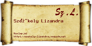 Székely Lizandra névjegykártya